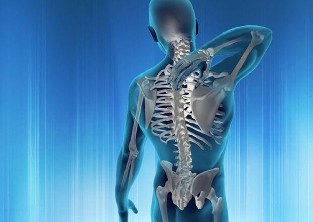 bizkarreko mina motak